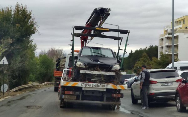 Военни, огнеборци, полицаи и доброволци разчистват в Елените