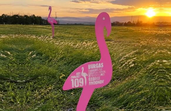 109 розови фламинго посрещнаха Giro d’Italia в Бургас