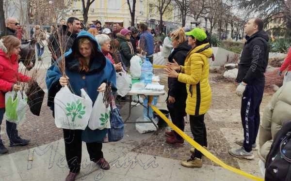 Стотици бургазлии на опашка за безплатни фиданки /снимки/