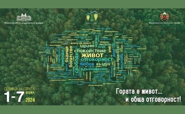 ЮИДП Сливен ще раздаде 10 000 фиданки за Седмицата на гората