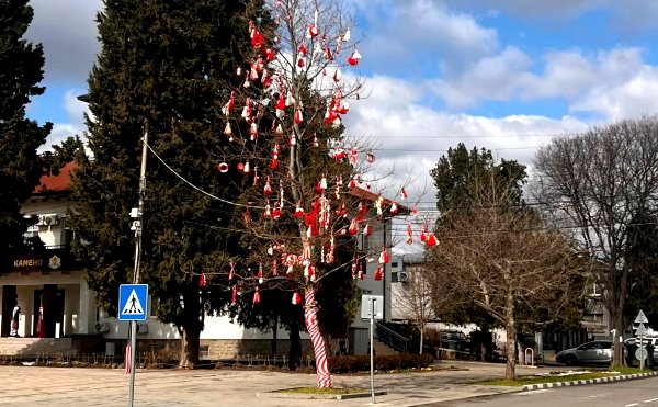 Дървото с мартеници в Камено е готово
