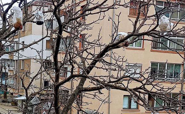 Психично болна тормози цял блок в Бургас
