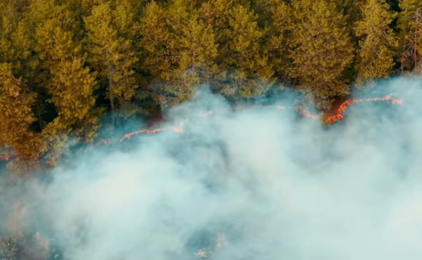 Военни се включиха в гасенето на пожара в Сунгурларско